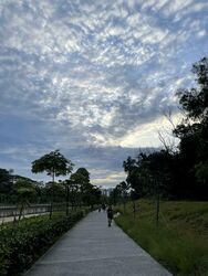 Blk 494J Tampines Greenedge (Tampines), HDB 4 Rooms #519409521